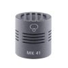 Schoeps MK 41 Super-Carioid Microphone Capsule
