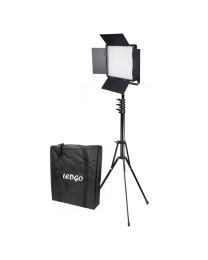 Ledgo 600LK Daylight Location Lighting Kit