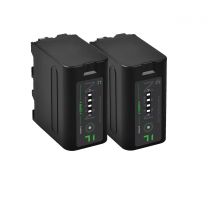 Core SWX NANO-F L-Series Battery - 2 Pack